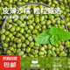農(nóng)家綠豆 中小顆粒 新豆打豆?jié){發(fā)豆芽綠豆湯綠豆沙粽子 小粒綠豆450g
