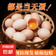 新鮮農(nóng)家谷物鮮雞蛋  現(xiàn)撿現(xiàn)發(fā) 破損包賠 新鮮營養(yǎng) 單枚50g-60g 30枚裝