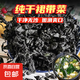 霞浦特產(chǎn)純?nèi)箮Р烁韶洘o沙免洗特干級海帶孕婦海帶兒童低脂肪食材 干裙帶菜50g*1包