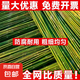 竹竿菜園搭架豆角黃瓜番茄爬藤架園藝籬笆圍欄旗桿葡萄架批發(fā) 50根【精選竹竿】 2.4-2.6厘米粗3米長