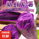 正宗沙地精品紫薯新鮮現(xiàn)挖軟糯香甜番薯紫精選地瓜 產(chǎn)地直發(fā) 含箱2斤 中小果 單果（1兩-3兩）