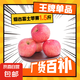 山東煙臺(tái)紅富士蘋(píng)果脆甜可口薄皮蘋(píng)果應(yīng)季水果新鮮 凈重1.5斤3個(gè)80mm+