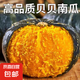正宗貝貝南瓜板栗味寶寶輔食老南瓜新鮮蔬菜生鮮減肥減脂早餐輕食 性價比小果 2斤 帶箱