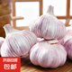【營田半畝】蒜干蒜頭蒜大蒜紫白皮大蒜當(dāng)季蔬菜0.5-5斤 2斤帶箱重【果徑4.5-5cm】大果