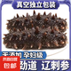 即食海參 大連鮮食海參單個(gè)裝500g海鮮水產(chǎn) 鮮食海參5-8只/斤（參王）