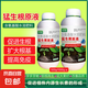 多肥料生根型植物營(yíng)養(yǎng)液水培生根液綠植生根粉扦插壯苗生根劑 猛生根液500克1瓶【貴在運(yùn)費(fèi)】
