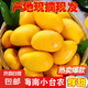 小臺(tái)芒新鮮現(xiàn)摘產(chǎn)地直發(fā)微花皮半黃發(fā)貨 2斤中果【帶箱】70-89g