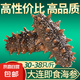 即食海參 大連鮮食海參單個(gè)裝500g海鮮水產(chǎn) 即食海參30-38只/斤