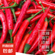 廣西小米辣5斤新鮮特辣朝天椒紅辣椒辣椒泡椒剁椒小米椒 小米椒 5斤