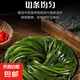 大連 鮮海帶 鹽漬海帶絲 涼拌菜海帶絲食材鮮嫩 新鮮鹽漬海帶絲500g