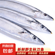 新漁姐 東海大整條秋刀魚 (無冰) 深海魚冷凍 125-140g/條 秋刀魚 (無冰) 125-140g/條1斤