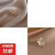 蝴蝶結(jié)防走光神器高檔免縫小胸針女百搭氣質(zhì)別針固定衣服西裝領(lǐng)口 兩件套