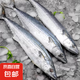 京喜加青島海捕鲅魚整條大鲅魚馬鮫魚6/8兩新鮮冷凍海鮮水產 4kg 無冰鲅魚6/8兩【大規(guī)格】