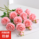 牡丹仿真花假花客廳擺設(shè)假玫瑰裝飾干花束餐桌擺件品高級仿生花藝 粉紅色牡丹5枝