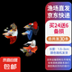小型熱帶觀賞魚(yú)魚(yú)活體魚(yú)苗活體孔雀魚(yú)天使魚(yú)好養(yǎng)耐活漁場(chǎng)直發(fā)活魚(yú) 孔雀魚(yú)隨機(jī)24條送備損6條+魚(yú)食