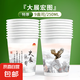 一次性耐高溫加厚紙杯商用可愛(ài)茶水杯家家用加厚紙杯 大展宏圖【250ml特厚】 500只