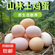 九華山高山散養(yǎng)蟲(chóng)草竹林土雞蛋現(xiàn)撿現(xiàn)發(fā)50g左右早餐京東包郵買(mǎi)菜 60枚