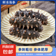 大連鮮食海參 即食海參30-40只/斤  海鮮禮盒 即食海參1斤裝（約30-40只）