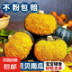 京喜加惠和1號貝貝南瓜新鮮蔬菜生鮮減肥減脂早餐沙拉單果100g起 嘗鮮 500g 帶箱