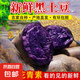 黑土豆新貨紫色大土豆馬鈴薯黑美人土豆烏洋芋紫皮紫心新鮮黑金剛 新鮮黑土豆 5斤