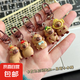 咖扣可愛卡皮巴拉鑰匙扣送閨蜜禮物鑰匙扣掛件掛件包包可愛掛飾 隨機一個