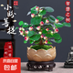 菩提樹盆栽小盼菩提盆景帶果中式禪意桌面擺件室內(nèi)創(chuàng)意好養(yǎng)綠植物 小盼菩提+蓮花盆+苔蘚+底座