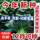 【京東物流】蔬菜種子四季播盆栽陽臺庭院香菜生菜菠菜簡單秋易種 黑葉蘇州青種子1包約1000粒