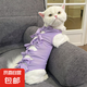 【養(yǎng)寵必備】貓咪絕育服術(shù)后保養(yǎng)貓狗透氣斷奶服防脫綁帶術(shù)后衣服 紫色【高品質(zhì)】 M