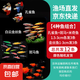 小型觀賞魚孔雀魚米奇魚斑馬魚白云金絲金苔鼠魚小型熱帶魚活體魚 孔雀米奇各3條+斑馬6條送魚食