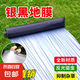 銀黑雙色地膜加厚黑白膜反光地膜拉勁強(qiáng)韌性好覆蓋除草保濕塑料膜 1.2s厚【1.5m×208m】