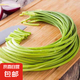 京喜自營(yíng)高原新鮮蒜苔現(xiàn)摘現(xiàn)發(fā)當(dāng)季蔬菜蒜苔蒜苗 新鮮云南蒜苔帶箱2斤