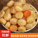 元貝干貝瑤柱扇貝肉廣東特產(chǎn)級(jí)海鮮干貨粽子材料煲湯滋補(bǔ)瑤柱肉 元貝【大】150克3瓶