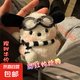 ins腮紅帕恰狗可愛公仔少女心書包掛件毛絨創(chuàng)意玩偶卡通情侶禮物 腮紅帕恰狗 4.6cm