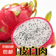 火龍果樹苗紅心火龍果苗四季庭院陽臺(tái)盆栽地栽南北方種植果樹苗 紅皮白肉火龍果【6年苗結(jié)果多】