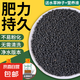 水草陶粒砂生態(tài)魚缸玻璃瓶家用水草泥水培四季造景套餐新手易種 5斤水草泥+一萬粒種子+液肥