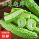 新鮮現(xiàn)摘當(dāng)季綠色蔬菜苦瓜涼瓜清脆爽口青皮涼拌瓜山東新鮮苦瓜 現(xiàn)摘現(xiàn)發(fā)新鮮苦瓜 3斤