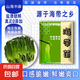 鹽漬海帶嫩苗 福建細(xì)嫩小海帶 涼拌火鍋涮品 海帶苗200g*10包 大規(guī)格裝