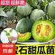 沐喏哩甜瓜秧苗綠寶甜寶爬藤蔬菜苗羊角蜜香瓜種苗四季盆栽陽臺瓜 綠寶石甜瓜苗5顆