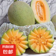 正宗山東哈密瓜曉蜜17新鮮現(xiàn)摘當季水果甜瓜 3-3.5斤