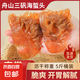 胖子舟山海蜇頭桶裝干貨非即食涼拌菜正宗非特級野生寧波大花海哲 大號海蜇頭 凈重2500克
