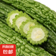 新鮮現(xiàn)摘當(dāng)季綠色蔬菜苦瓜涼瓜清脆爽口青皮涼拌瓜山東新鮮苦瓜 現(xiàn)摘現(xiàn)發(fā)新鮮苦瓜 2斤