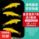 金苔鼠魚魚缸清潔魚工具魚魚缸除藻清理糞便小型熱帶觀賞魚魚活體 金苔鼠7條送備損3條【發(fā)10條】