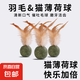 貓玩具貓薄荷球羽毛磨牙自嗨解悶貓草片球逗貓棒貓化排毛貓咪專用 寵物羽毛玩具-薄荷球-1個(gè)