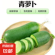 水果蘿卜新鮮沙窩蘿卜青蘿卜生吃脆沙窩蘿卜新鮮綠蘿 新鮮水果蘿卜5斤 帶箱