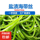 鮮海帶 鹽漬海帶絲 海帶涼拌菜鮮嫩 鹽漬海帶絲500g