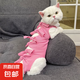 【養(yǎng)寵必備】貓咪絕育服術(shù)后保養(yǎng)貓狗透氣斷奶服防脫綁帶術(shù)后衣服 粉色【高品質(zhì)】 M