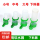 寵物鳥類專用飲水器 喂水器自動喝水神器下料器雞鳥喂食器盒 鳥用飲水器-大號-1個