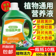 營養(yǎng)液植物通用型花肥發(fā)財樹富貴竹綠蘿水培盆栽家用花卉養(yǎng)花肥料 【通用濃縮型】500毫升一瓶