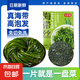 壓縮海帶絲 烘干高品質(zhì)海帶絲 圓餅無(wú)沙 高倍泡發(fā) 16g*5片
