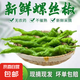 新鮮現(xiàn)摘螺絲椒薄皮香辣超市生鮮蔬菜青椒 香辣螺絲椒 2斤